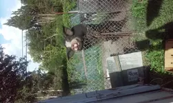 20160720_183615.webp