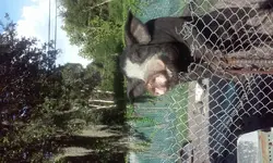 20160720_183619.webp