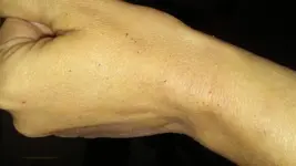 14870040977111258676314.webp