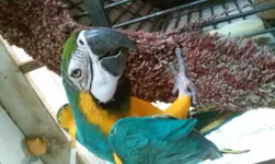 20160806_101809.webp