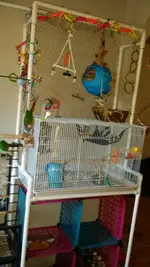 20150731_172433.webp