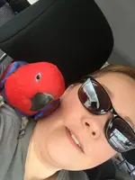 ImageUploadedByTapatalk1438747137.282065.webp