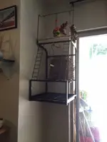 bird1.jpg