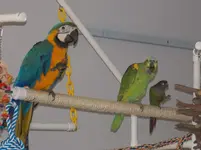 DSCN1059.webp
