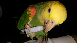 20151110_195653.webp