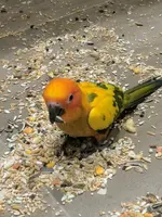 IMG_20170213_190302.webp