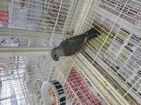 20161005_131802.webp