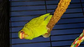 20161012_194430.webp