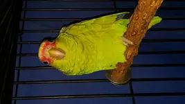 20161012_194439.webp
