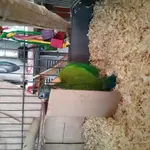 20161015_133825.webp
