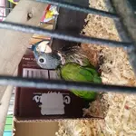 20161015_133807.webp