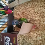 20161015_133751.webp