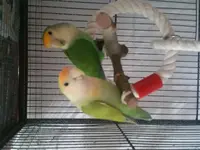 20170320_155250.webp