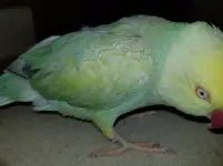 20180808_232522.webp