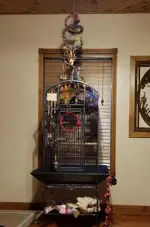 20180810_195046.webp