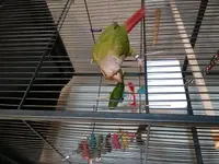 20180815_164223.webp