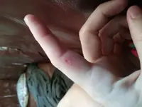 20180819_170320.webp