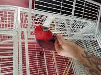 20161102_144645.webp