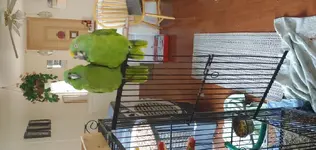 20180822_104936.webp