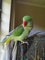 IMG_20180824_141030.webp