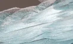 IMG_20180826_122018.webp IMG_20180826_122018.webp