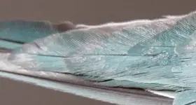 IMG_20180826_121933.webp IMG_20180826_121933.webp