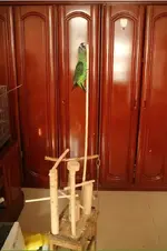 QQ??20161204115233.webp