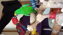 20160405_155323.webp