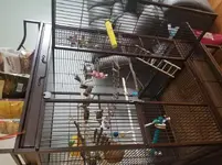 20180912_122126.webp
