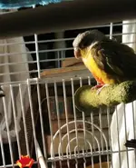 20170511_090415-1.webp