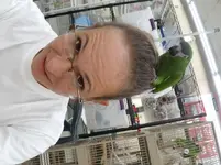 20180913_113930.webp