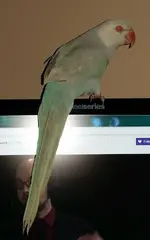 20161208_160431.webp