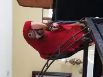 20180909_142257.webp