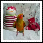 IMG_20161210_195410.webp