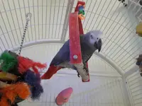 20170423_181640.webp