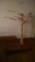 Java Tree.webp