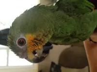 20180929_102545.webp