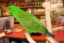 france 2011 arthur & eeyore & Romaine098.webp