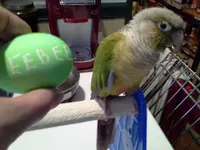 20130331_120331.webp
