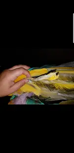 Screenshot_20181025-213022_Gallery.webp