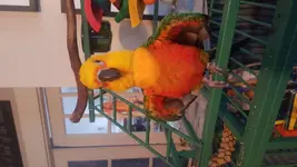 20170626_164227.webp