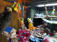 20181106_132837.webp