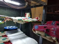 20181106_132825.webp