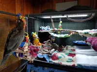 20181106_132818.webp