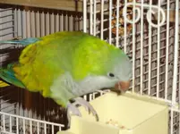 DSC02076.webp
