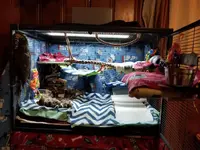 20181114_142822.webp