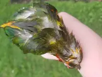 20170712_135743.webp
