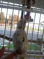 20181116_163355.webp