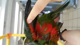 20170718_162735.webp