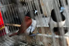 B04.webp